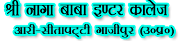 SHRI NAGA BABA INTER COLLEGE